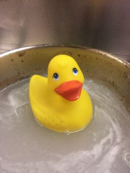 Ente